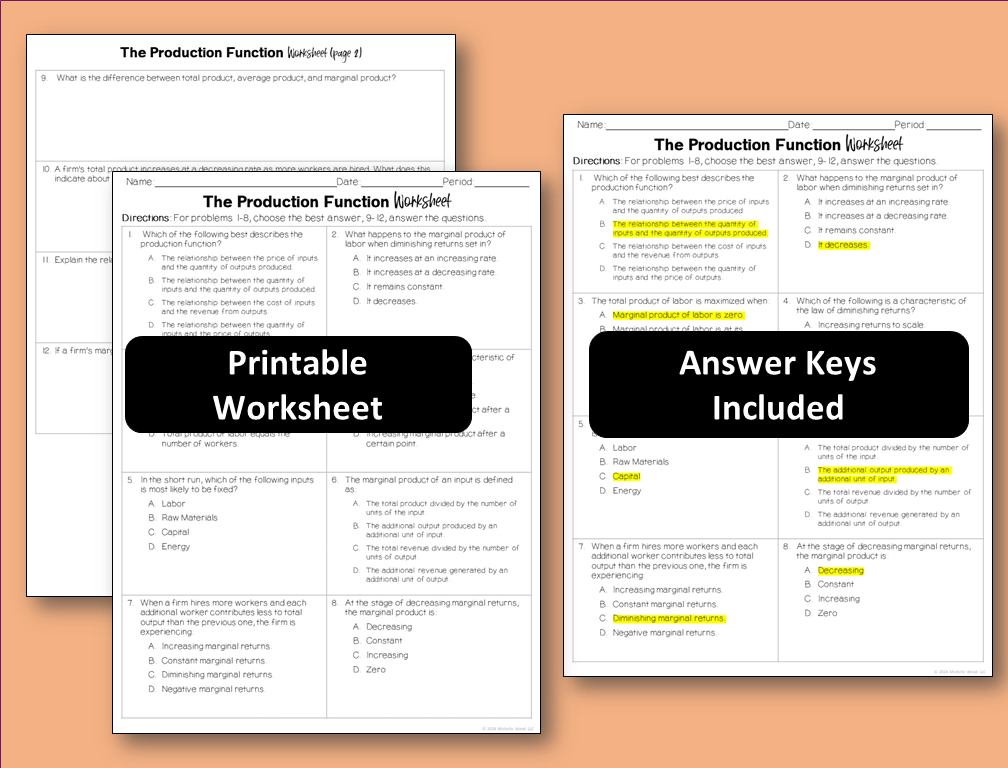 The Production Function Worksheets - Michelle Wood